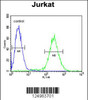 Flow cytometric analysis of Jurkat cells (right histogram) compared to a negative control cell (left histogram) .FITC-conjugated goat-anti-rabbit secondary antibodies were used for the analysis.