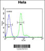 Flow cytometric analysis of Hela cells (right histogram) compared to a negative control cell (left histogram) .FITC-conjugated goat-anti-rabbit secondary antibodies were used for the analysis.