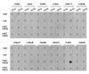 Dot-blot analysis of all sorts of methylation peptides using Asymmetric DiMethyl-Histone H4-R3 antibody (18-639) .