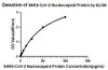 This standard curve is only for demonstration purposes. A standard curve should be generated for each assay.