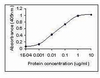 Peptide as test antigen. Affi-pure IgY as primary antibody and Goat anti-IgY-HRP as 2nd antibody. Fixed amount of IgY (0.1 ug/mL) and serial dilutions of Ag.