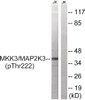 Western blot analysis of extracts from Jurkat cells treated with serum using MAP2K3 (Phospho-Thr222) Antibody. The lane on the right is treated with the antigen-specific peptide.