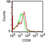 FACS analysis of CD56 on human monocytes using NCAM / CD56 antibody (123C3.D5) .