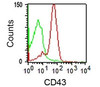 FACS staining of human lymphocytes using DF-T1 mAb (red) and isotype control antibody.