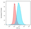 Flow cytometry testing of paraformaldehyde-fixed human Jurkat cells with CD28 antibody (clone 204.12) ; Red= isotype control, Blue= CD28 antibody.