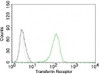 Flow cytometry testing of Jurkat cells with Alexa Fluor 488-labeled Transferrin Receptor antibody (green) .