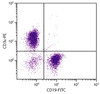 BALB/c mouse splenocytes were stained with Hamster Anti-Mouse CD3?-PE (Cat. No. 98-561) and Rat Anti-Mouse CD19-FITC .