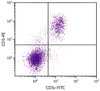 C57BL/6 mouse splenocytes were stained with Rat Anti-Mouse CD5-PE (Cat. No. 98-605) and Rat Anti-Mouse CD3?-FITC .