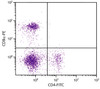 C57BL/6 mouse splenocytes were stained with Rat Anti-Mouse CD8?-PE (Cat. No. 98-616) and Rat Anti-Mouse CD4-FITC .