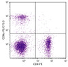 BALB/c mouse splenocytes were stained with Rat Anti-Mouse CD8?-PE/CY5.5 (Cat. No. 98-622) and Rat Anti-Mouse CD4-PE .