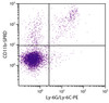 C57BL/6 mouse splenocytes were stained with Rat Anti-Mouse CD11b-SPRD (Cat. No. 98-637) and Rat Anti-Mouse Ly-6G/Ly-6C-PE .