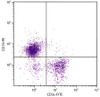 C57BL/6 mouse splenocytes were stained with Mouse Anti-Mouse CD19-PE (Cat. No. 98-670) and Rat Anti-Mouse CD3?-FITC .