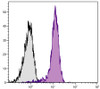 BALB/c mouse splenocytes were stained with Rat Anti-Mouse CD31-APC (Cat. No. 98-736) .