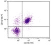 BALB/c mouse splenocytes were stained with Rat Anti-Mouse CD16/32-PE (Cat. No. 98-742) and Rat Anti-Mouse CD19-FITC .