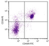 BALB/c mouse splenocytes were stained with Rat Anti-Mouse CD38-PE (Cat. No. 98-751) and Rat Anti-Mouse CD45R-FITC .