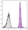 BALB/c mouse splenocytes were stained with Rat Anti-Mouse CD45-PE/CY7 (Cat. No. 98-783) .