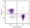 BALB/c mouse splenocytes were stained with Rat Anti-Mouse CD45R-PE/CY7 (Cat. No. 98-795) and Rat Anti-Mouse CD3?-PE .