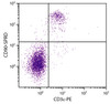 C57BL/6 mouse splenocytes were stained with Rat Anti-Mouse CD90-SPRD (Cat. No. 98-865) and Rat Anti-Mouse CD3?-PE .