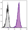 SJL mouse splenocytes were stained with Mouse Anti-Mouse CD45.1-APC/CY7 (Cat. No. 98-923) .