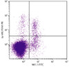 C57BL/6 mouse splenocytes were stained with Hamster Anti-Mouse Ly-49C/F/H/I-PE (Cat. No. 98-937) and Mouse Anti-Mouse NK1.1-FITC .