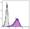 AKR/Cum mouse T lymphocyte cell line TK-1 was stained with Rat Anti-Mouse LPAM-1-PE (Cat. No. 99-011) .