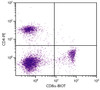 C57BL/6 mouse splenocytes were stained with Rat Anti-Mouse CD8?-BIOT (Cat. No. 98-615) and Rat Anti-Mouse CD4-PE followed by Streptavidin-FITC .