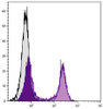 BALB/c mouse splenocytes were stained with Rat Anti-Mouse CD22-FITC (Cat. No. 98-677) .