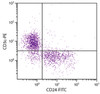 C57BL/6 mouse splenocytes were stained with Rat Anti-Mouse CD24-FITC (Cat. No. 98-691) and Rat Anti-Mouse CD3?-PE .
