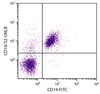 BALB/c mouse splenocytes were stained with Rat Anti-Mouse CD16/32-UNLB (Cat. No. 98-739) and Rat Anti-Mouse CD19-FITC followed by Mouse Anti-Rat IgG2a-PE .