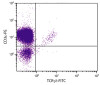 CD-1 mouse mesenteric lymph node cells were stained with Hamster Anti-Mouse TCR??-FITC (Cat. No. 98-893) and Rat Anti-Mouse CD3?-PE .