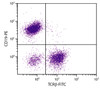 BALB/c mouse splenocytes were stained with Hamster Anti-Mouse TCR?-FITC (Cat. No. 98-899) and Rat Anti-Mouse CD19-PE .