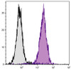 C57BL/6 mouse splenocytes were stained with Mouse Anti-Mouse CD45.2-FITC (Cat. No. 98-925) .