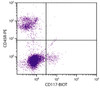 C57BL/6 mouse bone marrow cells were stained with Rat Anti-Mouse CD117-BIOT (Cat. No. 99-015) and Rat Anti-Mouse CD45R-PE followed by Streptavidin-FITC .