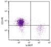 Chicken peripheral blood mononuclear cells were stained with Mouse Anti-Chicken Ia-BIOT (Cat. No. 99-252) and Mouse Anti-Chicken CD3-PE followed by Streptavidin-FITC .