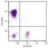 Human peripheral blood lymphocytes were stained with Mouse Anti-Human CD3-BIOT (Cat. No. 99-414) and Mouse Anti-Human CD19-FITC followed by Streptavidin-PE .