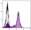 Human peripheral blood lymphocytes were stained with Mouse Anti-Human CD5-FITC (Cat. No. 99-436) .