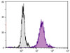 Human monocytes and granulocytes were stained with Mouse Anti-Human CD13-FITC (Cat. No. 99-472) .