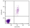 Human peripheral blood lymphocytes were stained with Mouse Anti-Human CD79b-PE (Cat. No. 99-573) and Mouse Anti-Human CD19-FITC .