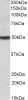 42-697 (3.75ug/ml) staining of paraffin embedded Human Placenta. Steamed antigen retrieval with citrate buffer pH 6, AP-staining.