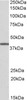 43-390 (0.5ug/ml) staining of Human Heart lysate (35ug protein in RIPA buffer) . Primary incubation was 1 hour. Detected by chemiluminescence.