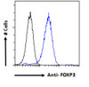 45-626 Flow cytometric analysis of paraformaldehyde fixed NIH3T3 cells (blue line) , permeabilized with 0.5% Triton. Primary incubation 1hr (10ug/ml) followed by Alexa Fluor 488 secondary antibody (1ug/ml) . IgG control: Unimmunized goat IgG (black line) f