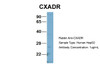 Antibody used in WB on Human HepG2 at 1 ug/ml.