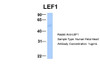 Antibody used in WB on Hum. Fetal Heart at 1 ug/ml.