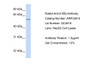 Antibody used in WB on Human HepG2 at 1.25 ug/ml.