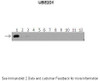 Antibody used in WB on recombinant protein at: 1:500 (Lanes: 1: 40ng HIS-UBE2D1 protein, 2: 40ng HIS-UBE2D2 protein, 3: 40ng HIS-UBE2D3 proteinm, 4: 40ng HIS-UBE2D4 protein, 5: 40ng HIS-UBE2E1 protein, 6: 40ng HIS-UBE2E2 protein, 7: 40ng HIS-UBE2E3 protein, 8: 40ng HIS-UBE2K protein, 9: 40ng HIS-UBE2L3 protein, 10: 40ng HIS-UBE2N protein, 11: 40ng HIS-UBE2V1 protein, 12: 40ng HIS-UBE2V2 protein.) .