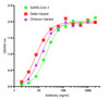 <strong>Figure 1 ELISA Validation with Spike Trimer Proteins of SARS-CoV-2 Variants and SARS-CoV-1 </strong><br>Antibodies: SARS-CoV-2 (COVID-19) Spike S2 Antibody, SD9789. A direct ELISA was performed using Spike trimer protein of SARS-CoV-2 Variants (Delta and Omicron) and SARS-CoV-1 as coating antigens at 1 &#956;g/mL and the anti-SARS-CoV-2 (COVID-19) Spike S2 antibody (SD9789) as the capture antibody, following by anti-cMyc-tag antibody (PM-7669) at 1 &#956;g/mL. Secondary: Goat anti-mouse IgG HRP conjugate at 1:5000 dilution. Detection range is from 16 ng/mL to 2000 ng/mL.