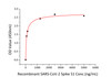 Immobilized recombinant human ACE2 at 2;g/mL (100 ;L/well) can bind SARS-CoV-2 (COVID-19) spike S1 recombinant protein with a linear range of 78-82.5 ng/mL.