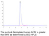 Biotinylated Human ACE2 Recombinant Protein | 10-202