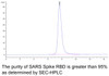 SARS Spike RBD Recombinant Protein | 10-211