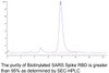 SARS Biotinylated Spike RBD Recombinant Protein | 10-212